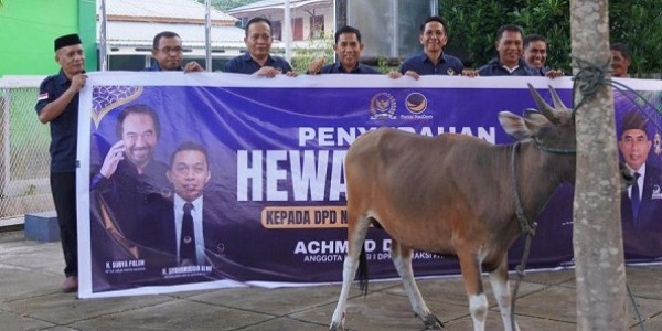Jelang Idul Adha, Achmad Daeng Sere Salurkan Hewan Kurban untuk Warga Kepulauan Selayar
