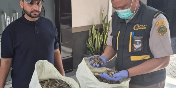 Penutup Cangkang Siput Laut Milik UMKM di Malang Tembus Pasar Arab Saudi