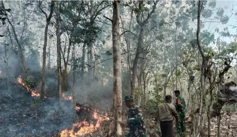 Soal Kabut Asap Lintas Negara, Akademisi: Netizen Tak Perlu Minta Maaf atas Nama Indonesia