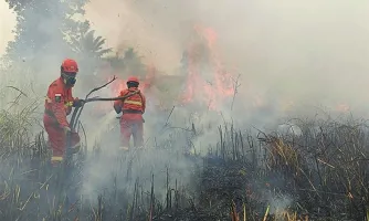 PKS: Satgas RI-Singapura Harus Bongkar Jaringan Korporasi Perusak Lingkungan