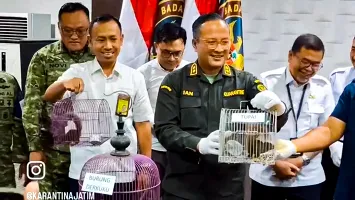 BKHIT Jatim Bongkar Penyeludupan Satwa Liar Lintas Daerah, Dibungkus lewat Kardus Makanan