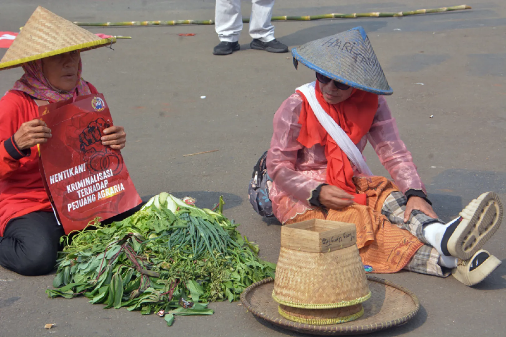 Demo Petani Kopi dan Sayur di DPR