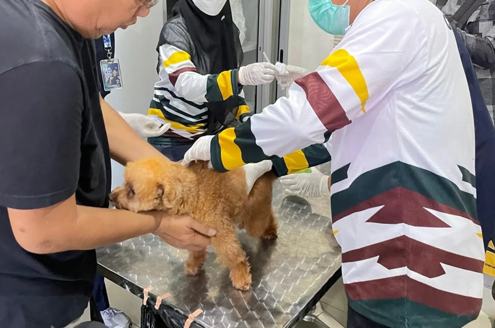 "Dari Penjaga Gerbang ke Diplomasi Ekonomi", Balai Karantina Jatim Gelar Rangkaian Kegiatan Hari Karantina