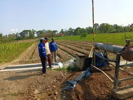 PU Kerahkan Pompa hingga Sumur Bor untuk Jaga 3.330 Hektare Sawah di Jatim