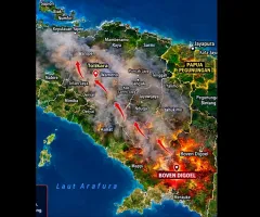 Kebakaran di Wilayah Papua Selatan Papua Pegunungan,  Ini Rekomendasi Ketua APHA Indonesia 