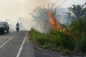 Asap Karhutla Ancam Kesehatan Warga, Yahya Zaini Minta Perlindungan Diperluas