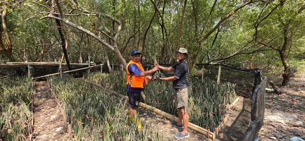 TPS Kembangkan 15.000 Bibit Mangrove, Perkuat Konservasi Pesisir Surabaya