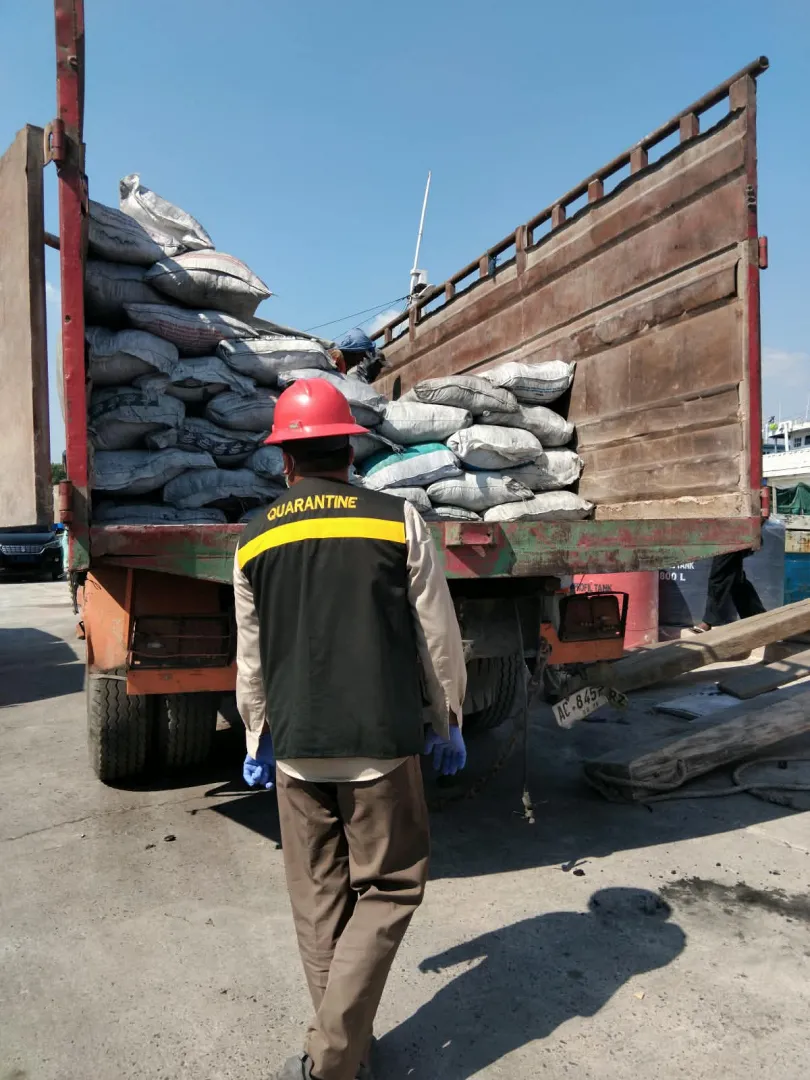 Cegah Penyebaran Avian Influenza, Karantina Perketat Pengawasan Kompos Berbahan Kotoran Ayam