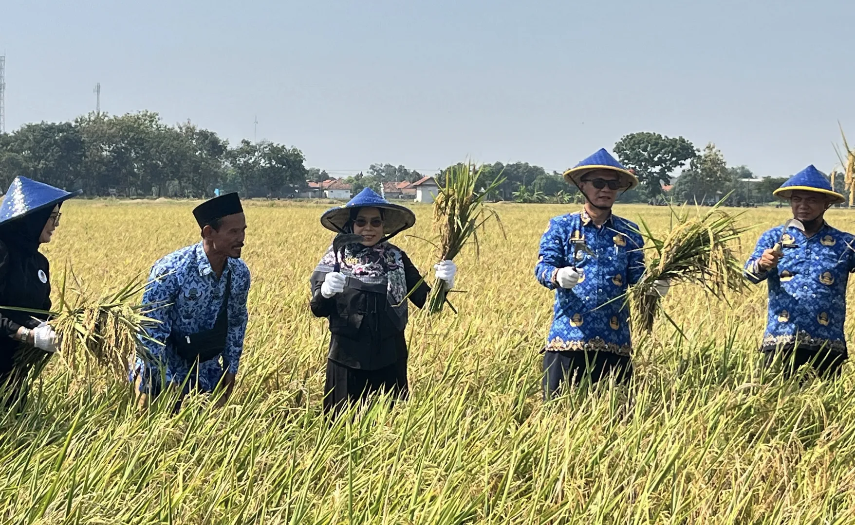 Sri Wahyuni Herman: Panen Raya Pamayahan Jadi Momentum Perkuat Ketahanan Pangan
