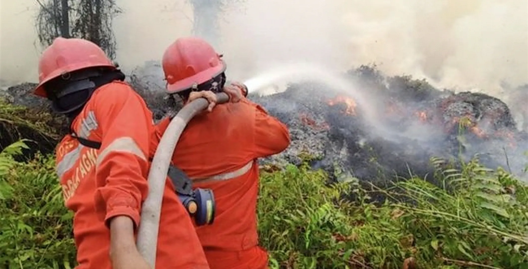 Kemenhut Bekukan Izin 6 Perusahaan Terkait Karhutla, Kini Total 32 Perusahaan Disanksi