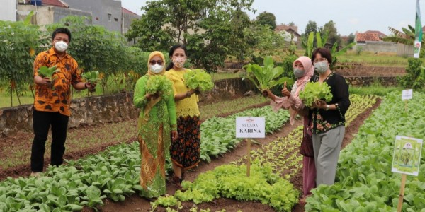 Peran Wanita dalam Pengembangan Pertanian Hortikultura di Desa Cikoneng