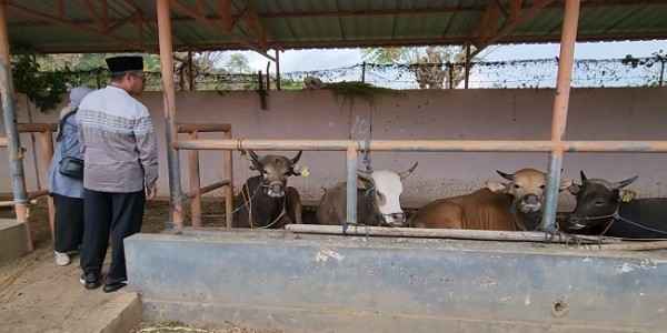 Apa Yg Dapat Kita Manfaatkan Dari Hewan Peliharaan Ayam